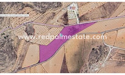 Plot - Resale - Pinoso - Inland