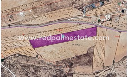 Plot - Resale - Pinoso -
                Inland