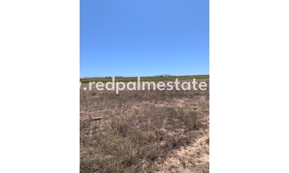 Plot - Resale - Pinoso -
                Inland