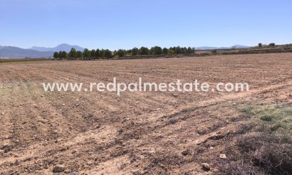 Plot - Resale -
            Pinoso - MR2-15518