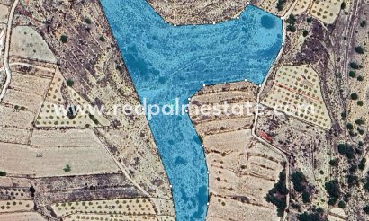 Plot - Resale -
            Pinoso - MR2-33191