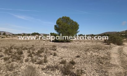 Plot - Resale - Salinas - Inland