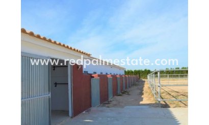 Plot - Resale - San Miguel de Salinas - Inland