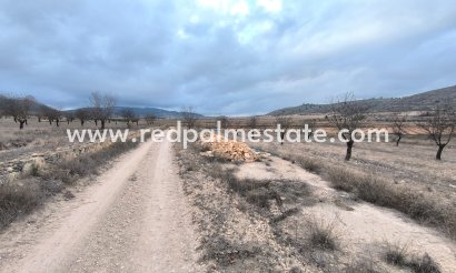 Plott - Videresalg - La Solana - La Solana