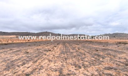 Plott - Videresalg - La Solana - La Solana
