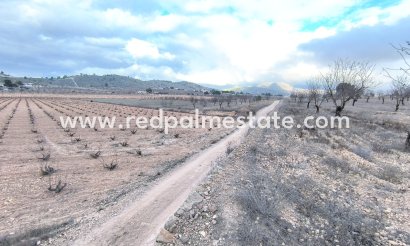 Plott - Videresalg - La Solana - La Solana