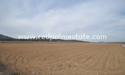 Plott - Videresalg - Monóvar/Monóver - Inland
