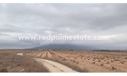 Plott - Videresalg - Pinoso - Inland