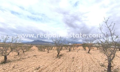 Plott - Videresalg - Pinoso - Inland