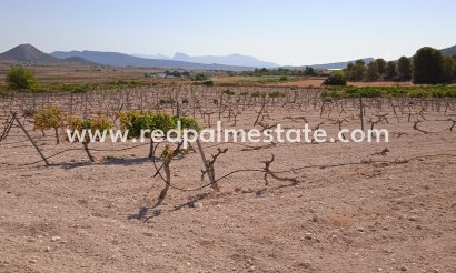 Plott - Videresalg - Pinoso - Inland
