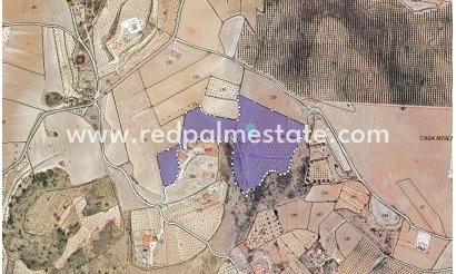 Plott - Videresalg - Pinoso - Inland