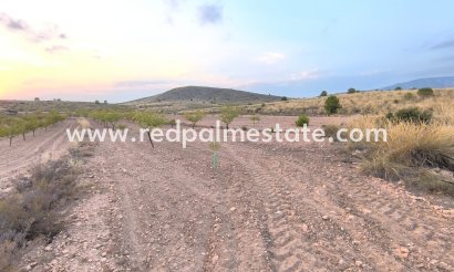 Plott - Videresalg - Pinoso -
                Inland