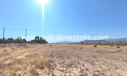 Plott - Videresalg - Pinoso - Inland