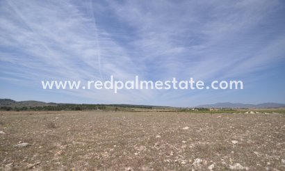 Plott - Videresalg - Pinoso - Inland