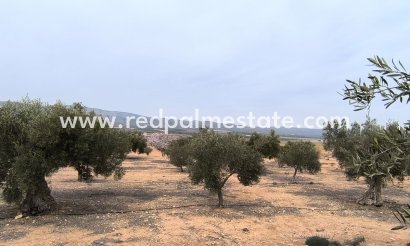 Plott - Videresalg - Villena - Inland
