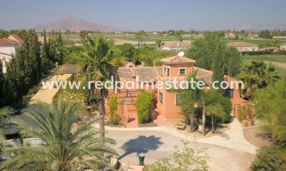 Propiedad de campo - Reventa - Catral - Catral