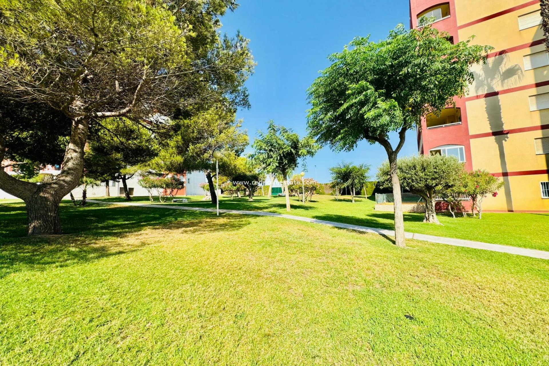 Resale - Apartamento -
Torrevieja - La Mata