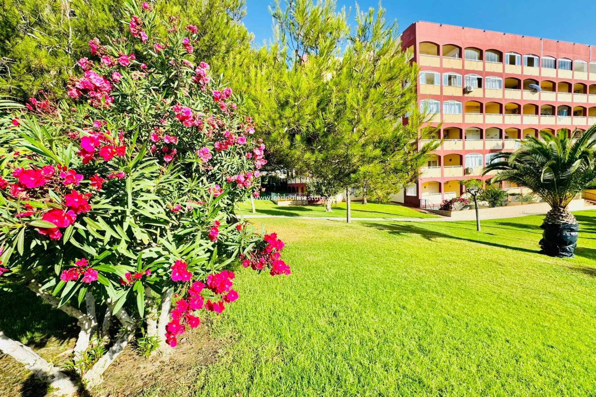 Resale - Apartamento -
Torrevieja - La Mata