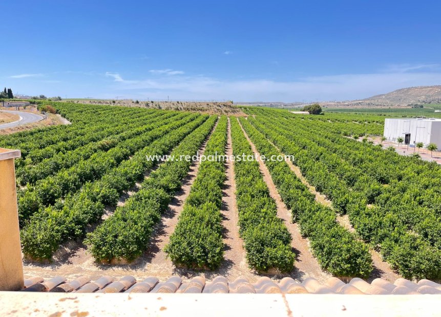 Resale - Apartment -
Algorfa - Inland