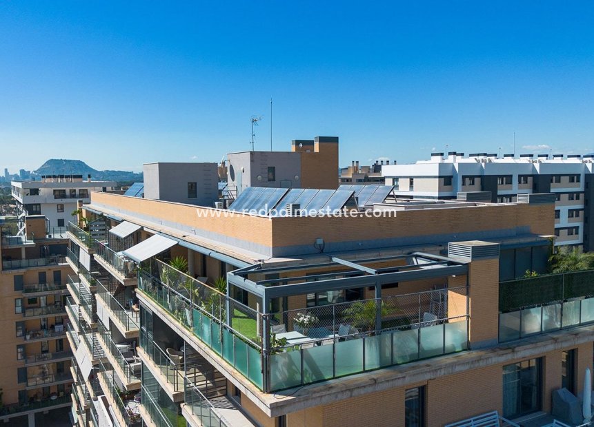 Resale - Apartment -
Alicante - Pau 5