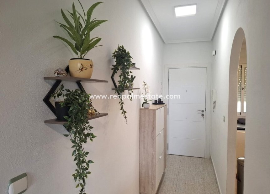 Resale - Apartment -
Almoradí