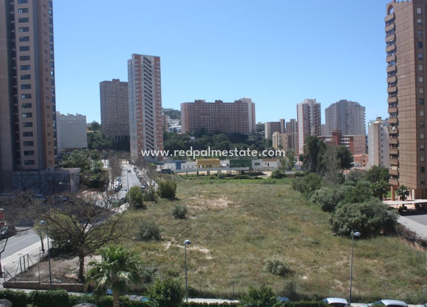 Resale - Apartment -
Benidorm - Costa Blanca