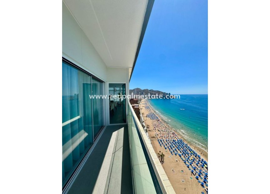 Resale - Apartment -
Benidorm - Costa Blanca