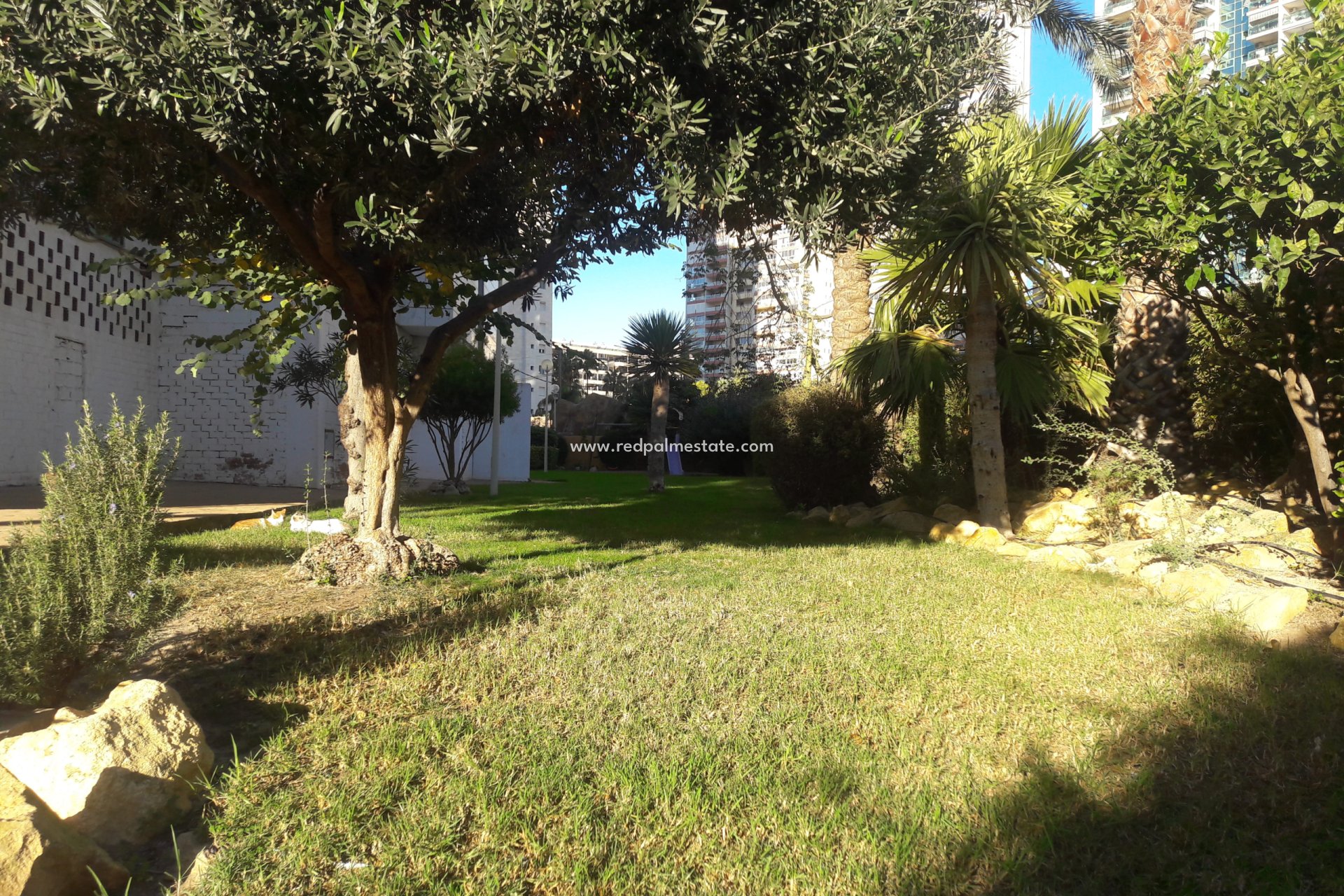 Resale - Apartment -
Benidorm - Costa Blanca