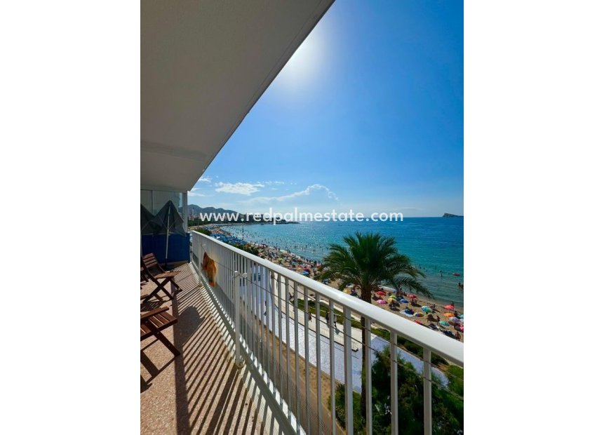 Resale - Apartment -
Benidorm - Costa Blanca