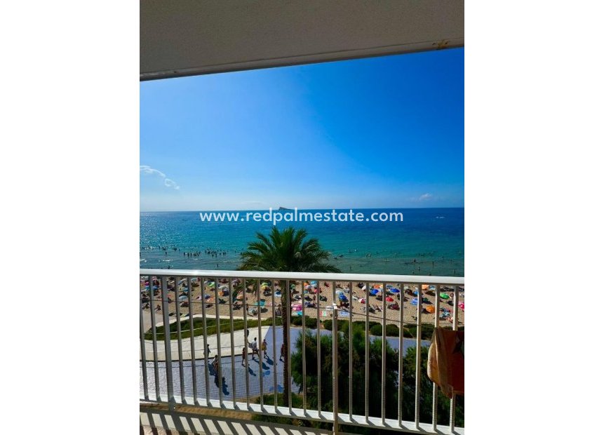 Resale - Apartment -
Benidorm - Costa Blanca