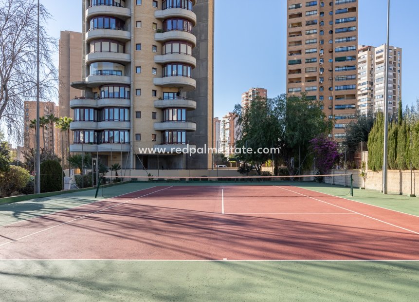 Resale - Apartment -
Benidorm - Costa Blanca