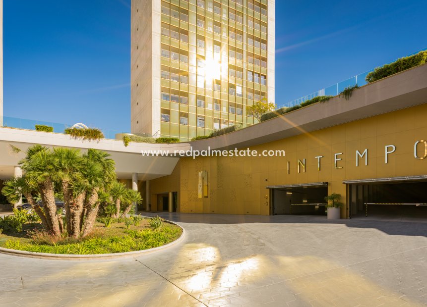 Resale - Apartment -
Benidorm - Costa Blanca