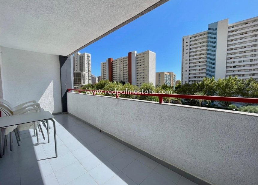 Resale - Apartment -
Benidorm