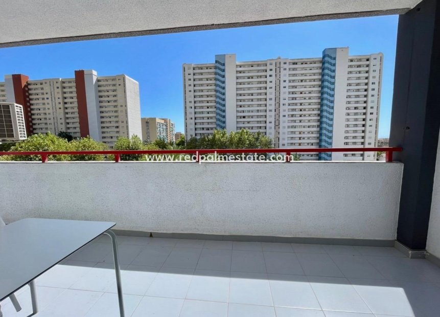 Resale - Apartment -
Benidorm