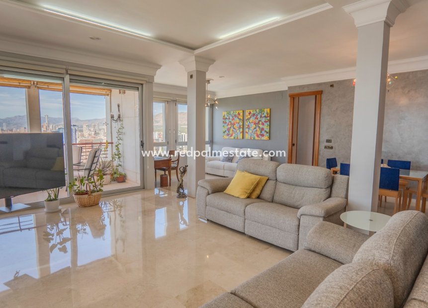Resale - Apartment -
Benidorm