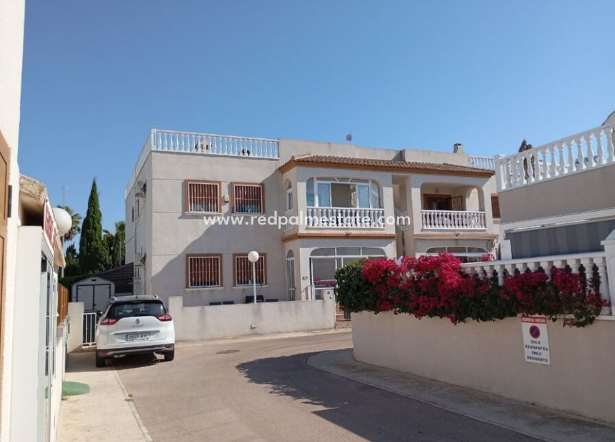 Resale - Apartment -
Daya Vieja - Costa Blanca