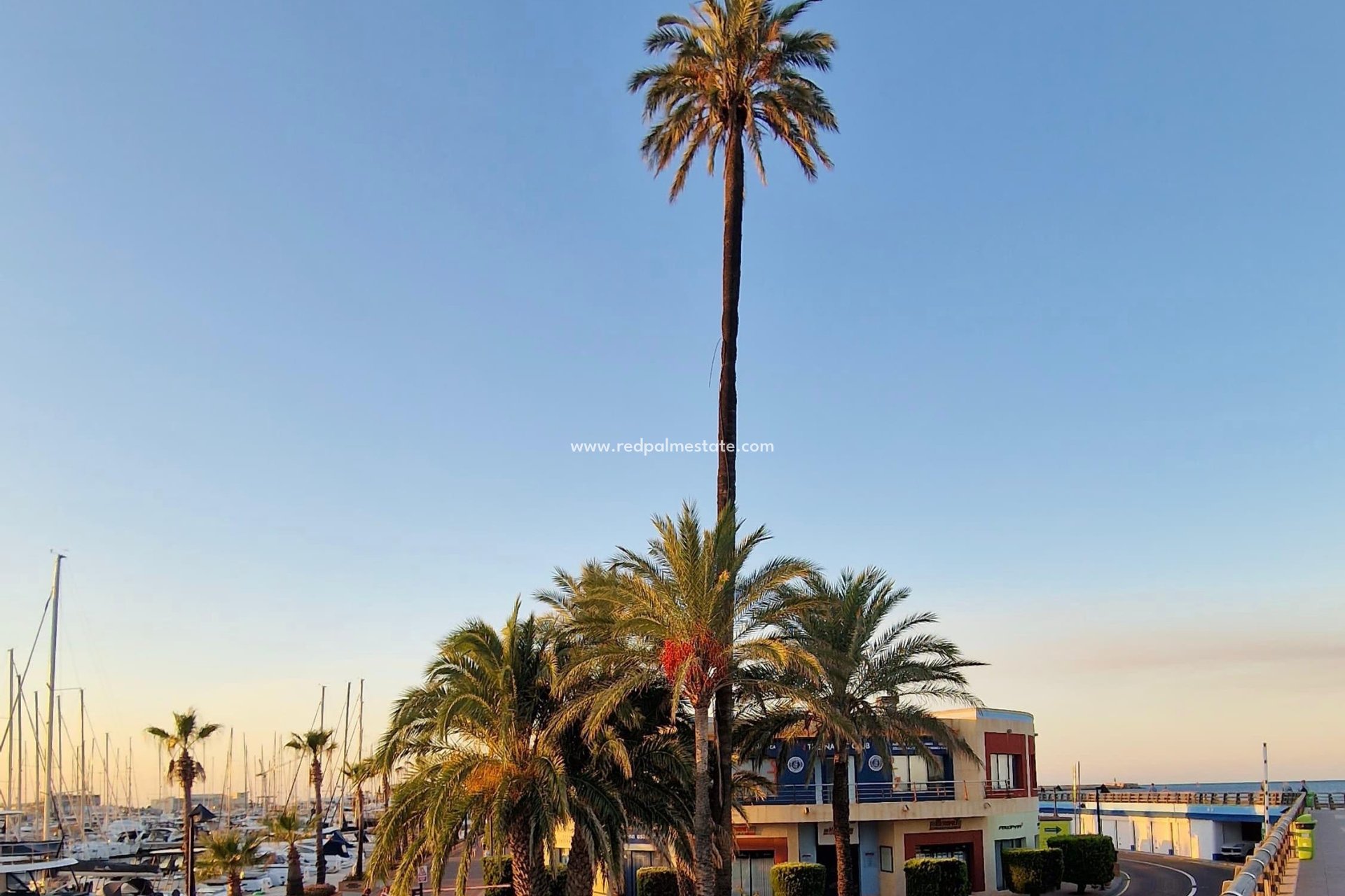 Resale - Apartment -
Denia