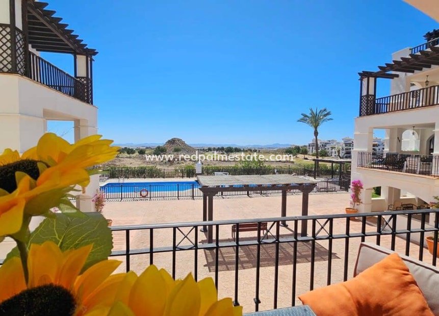 Resale - Apartment -
El Valle Golf Resort - Inland