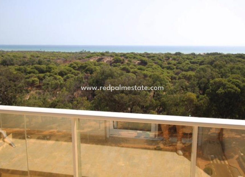 Resale - Apartment -
Guardamar del Segura - Avenida del Puerto