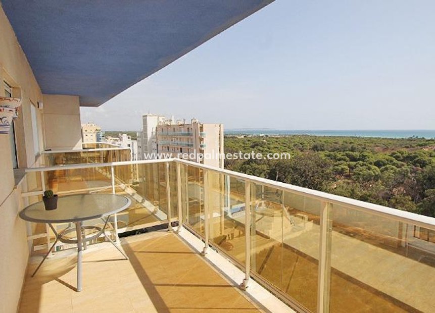 Resale - Apartment -
Guardamar del Segura - Avenida del Puerto
