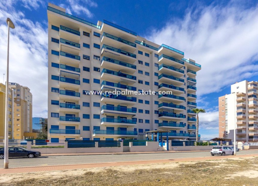 Resale - Apartment -
Guardamar del Segura - CENTRO