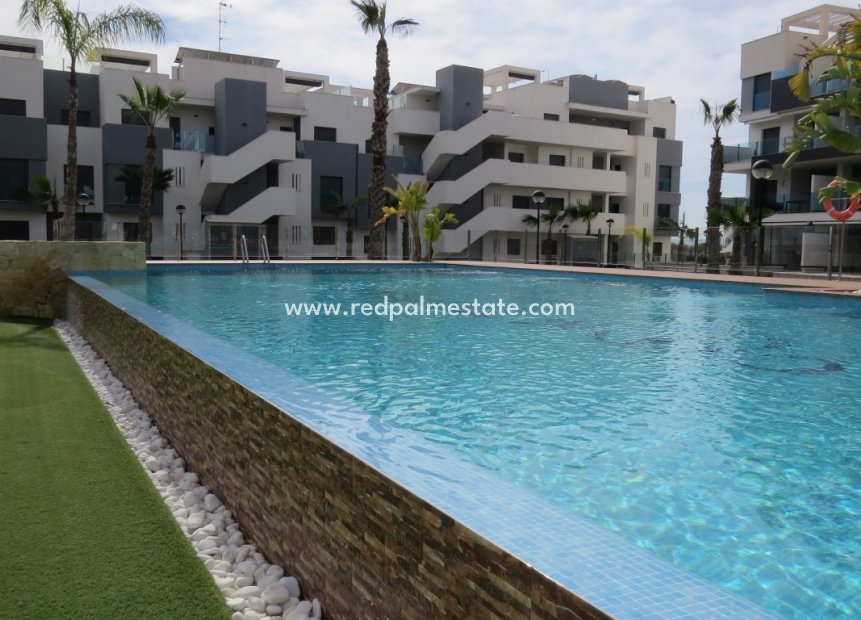 Resale - Apartment -
Guardamar del Segura - El Raso