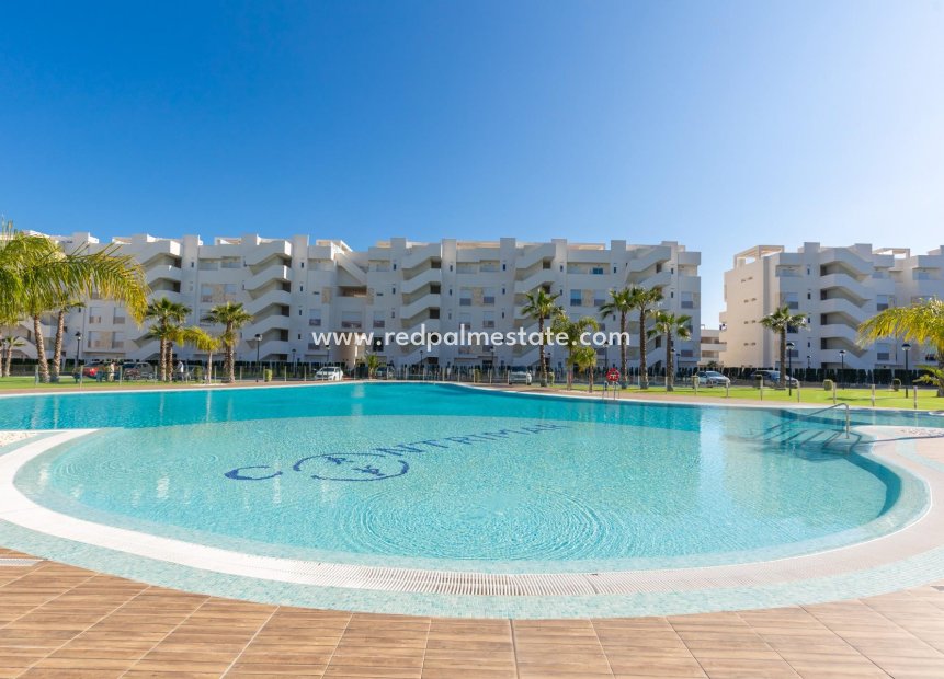 Resale - Apartment -
Guardamar del Segura - El Raso