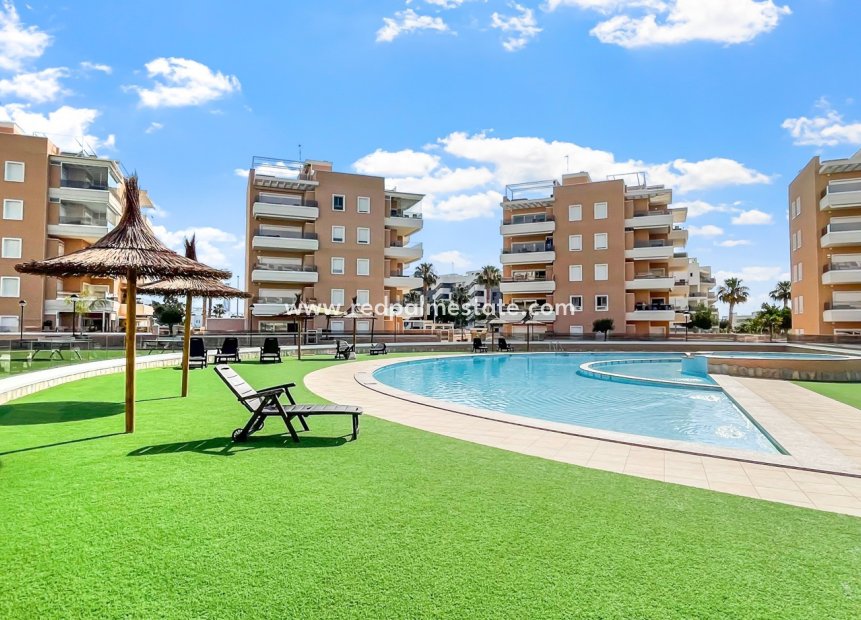 Resale - Apartment -
Guardamar del Segura - El Raso