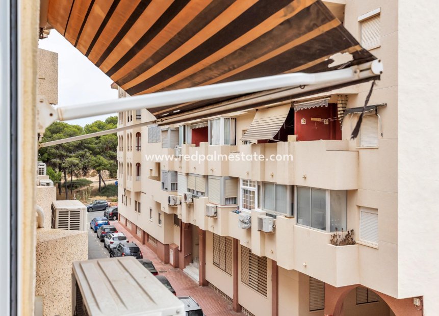 Resale - Apartment -
Guardamar del Segura - Guardamar