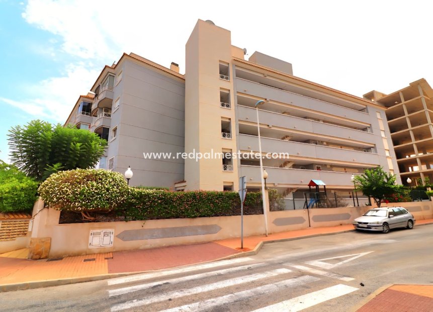 Resale - Apartment -
Guardamar del Segura - Guardamar
