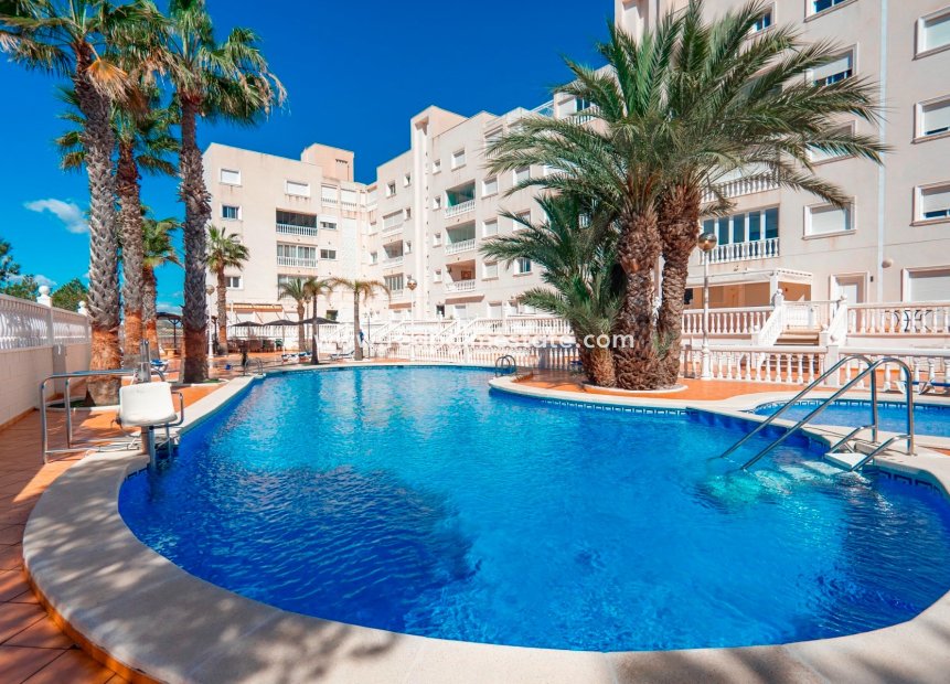 Resale - Apartment -
Guardamar del Segura - Guardamar