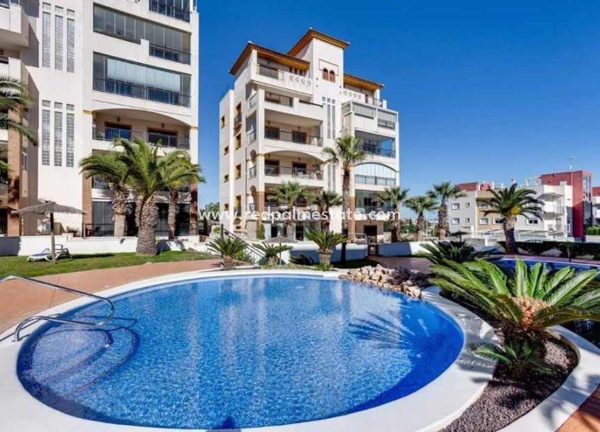Resale - Apartment -
Guardamar del Segura - Los Secanos