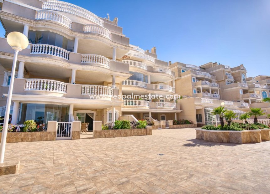 Resale - Apartment -
Guardamar del Segura - moncayo