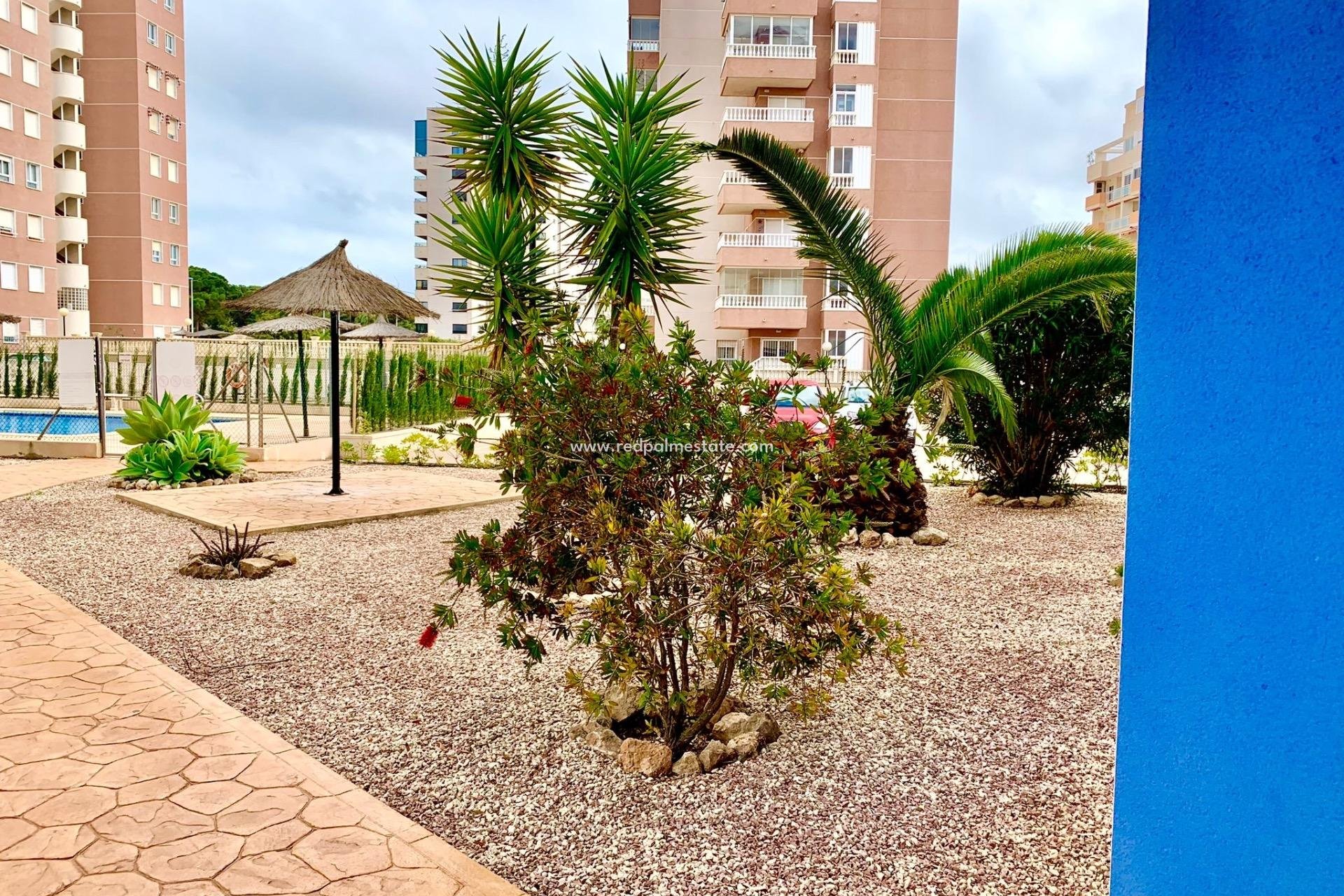 Resale - Apartment -
Guardamar del Segura - Puerto